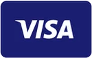 visa icon